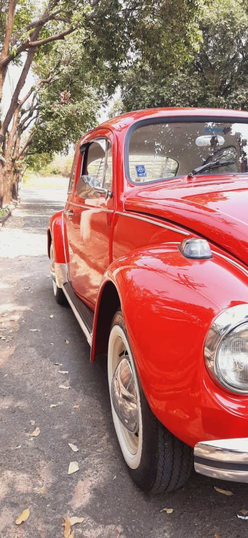 Foto do veículo Volkswagen Fusca 14